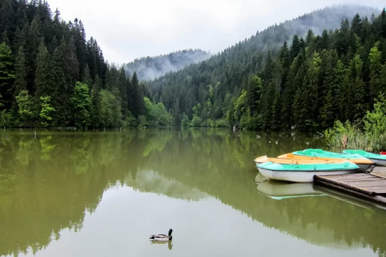 webcam lacul bicaz