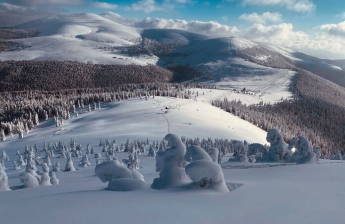 panorama domeniul sureanu
