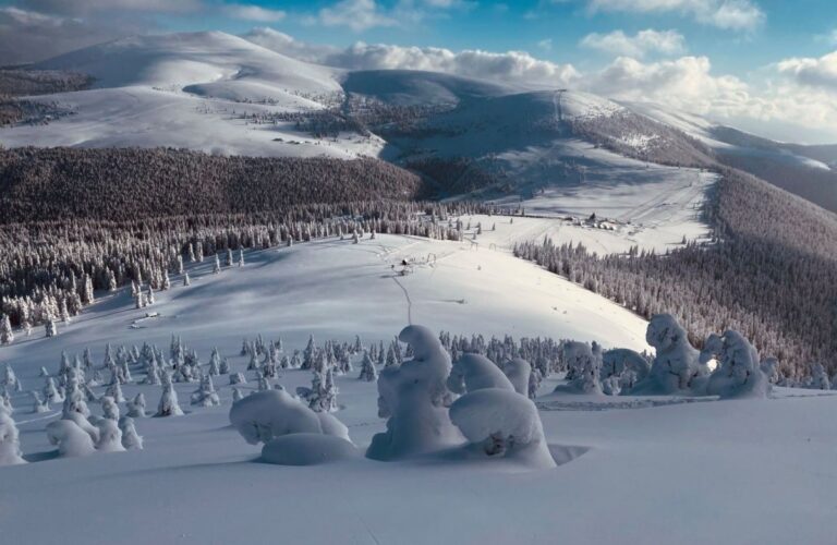 panorama domeniul sureanu