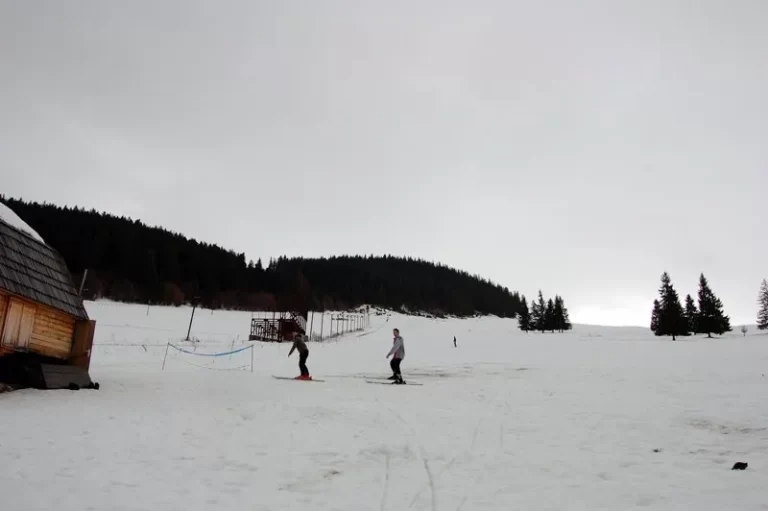 partia izovorul muresului