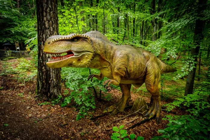 dino parc pret bilete