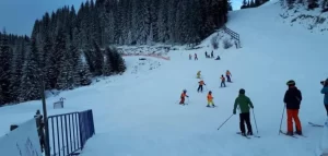 Partia Buscat webcam live partie